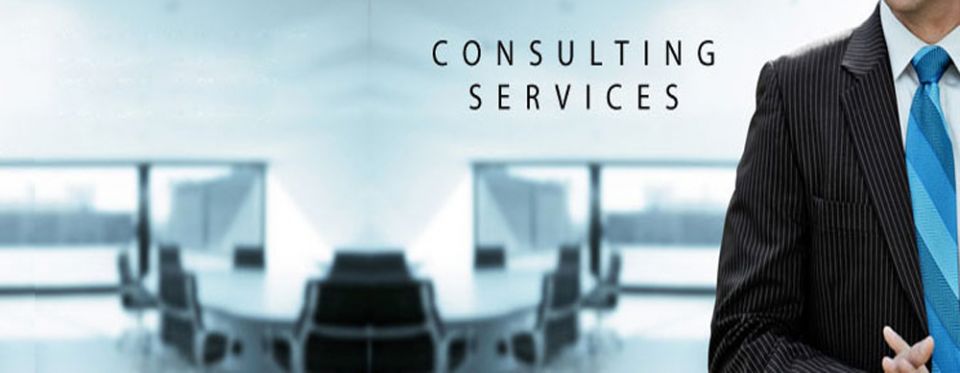 Konsalting/Consulting services